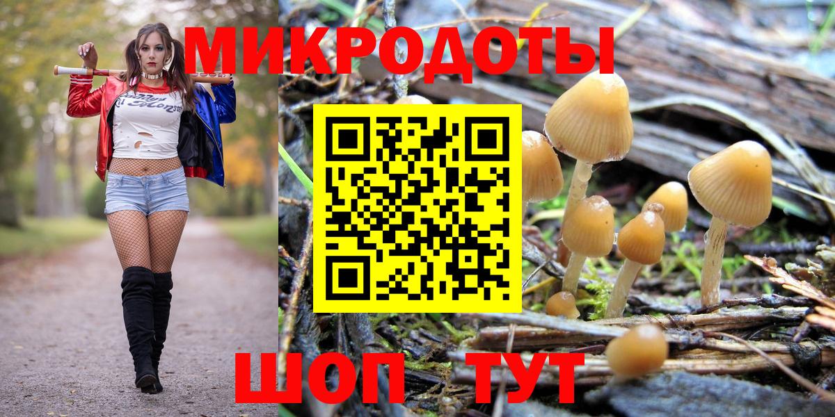 Псилоцибиновые грибы Magic Shrooms Геленджик