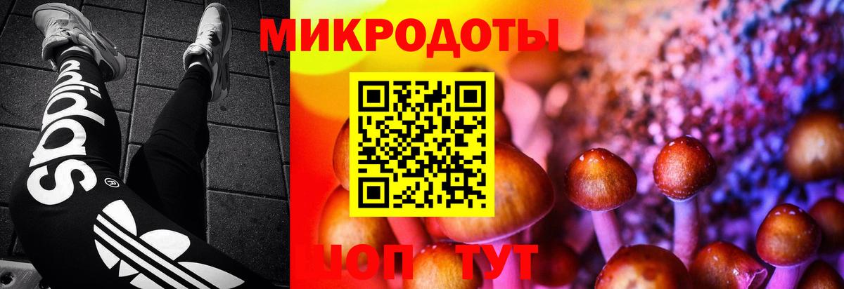 Геленджик  Псилоцибиновые грибы мицелий  Вход с VPN 